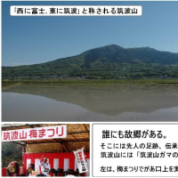Yahoo!オークション - 江戸幕末 戸川残花・幕末小史2冊 明治