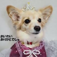 引っ越し作業に移ります
