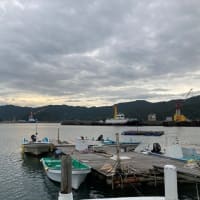 筏　梅雨の合間