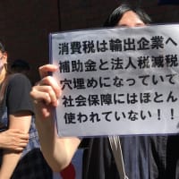 2025/06/22(日)自民党解体デモは、CIAデモでした‼️2025/06/23