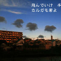 今日も暑い