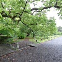 個人旅行　新緑の京都美術館めぐり　Ⅰ