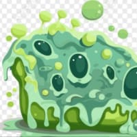 【うんちく噺】高温＆湿気！バイキンは大好物