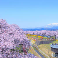 みやぎ仙南エリアの4月の観光イベント情報をお届けします！