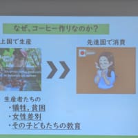 日本ガールスカウト大会