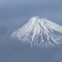 🐟残り10日間の高知生活🐟
