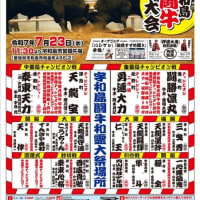 宇和島闘牛和霊大祭場所