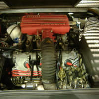 1985MODEL Ferrari 308GTB quattrovalvore