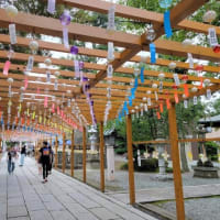 風鈴さわやか・・・夏詣・竹駒神社