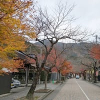 2024-12-15　谷汲山華厳寺(たにぐみさんけごんじ)