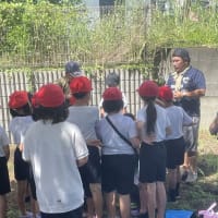 東久留米市内小学校の川の学習
