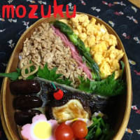 どうして色が出ない！そぼろ弁当（４月１１日）