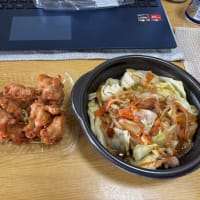 ほっともっとでオカズだけ。