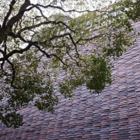 大阪西天満の建造物①大阪弁護士会館