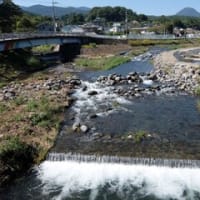 2024神奈川河川ﾎﾟﾀﾘﾝｸﾞ『狩川』⑧谷津川&貝沢川&上総川との合流