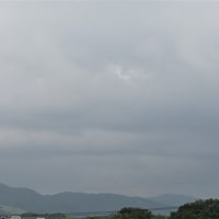 反田恭平と読響をフェスティバルホールで