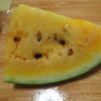 黄スイカ
