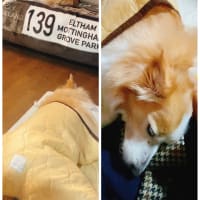 なんやかんや〜