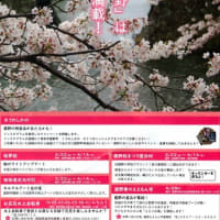日記_2024-04-07 鹿野桜まつり