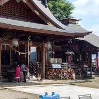 　早朝からカオスです(;´Д｀)