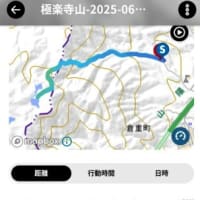 雨の裏山