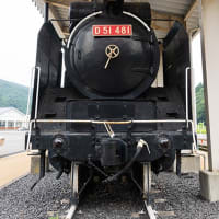 勝手に妄想してみた（笑） D51 481