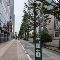 仙台をお散歩