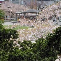連休最後です