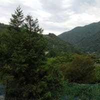 令和7年6月16日・今朝の東祖谷21℃（21.2℃）