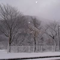 きれいな雪景色♪