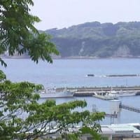 東南の効果？！