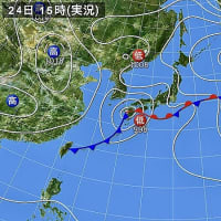 5月24日(土)