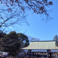 何処も激混みだったけれど