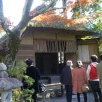 金閣寺