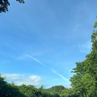リムパーザ卒業346日目　梅雨の晴れ間に😊