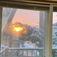 春がやって来た