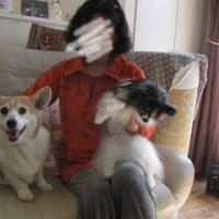 イヴちゃんとターシャちゃん（2013.3.21）