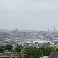 大阪で朝マック、今日の作りおきおかず