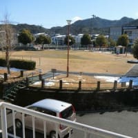 ５日連続とは行きませんでした。
