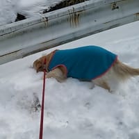 雪遊び