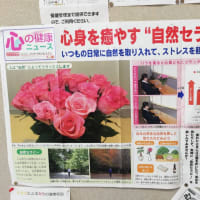 植物の生命力