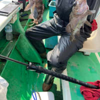 3月13日(日)は、メバル・ガシラ狙いで出船します。