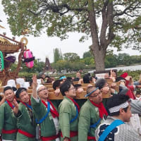 浮間さくら草祭り2025～神輿パレード