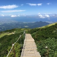 山はいいよにゃー。