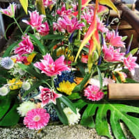 北野天満宮　夏越の大祓　土用干し　猫たちの茅の輪くぐり