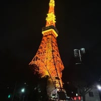 東京タワーで占ってもらう😆