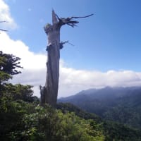白谷雲水峡