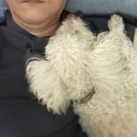 はてなブログへの引っ越し