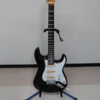 オーナー所有品　お譲りします!!   BLADE  ストラトキャスター!!   