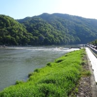 2024年５月　京都旅行　1日目　鴨川をどり・嵐山